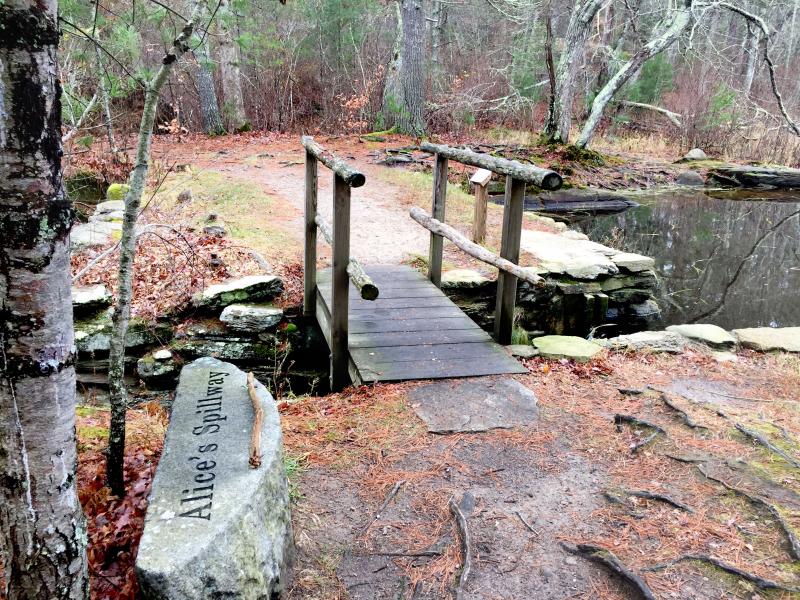 Alice's Spillway was built to control the water flow around Russells Mills, according to walk leaders. BY ANGIE HILSMAN